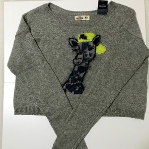 Hollister long sleeve